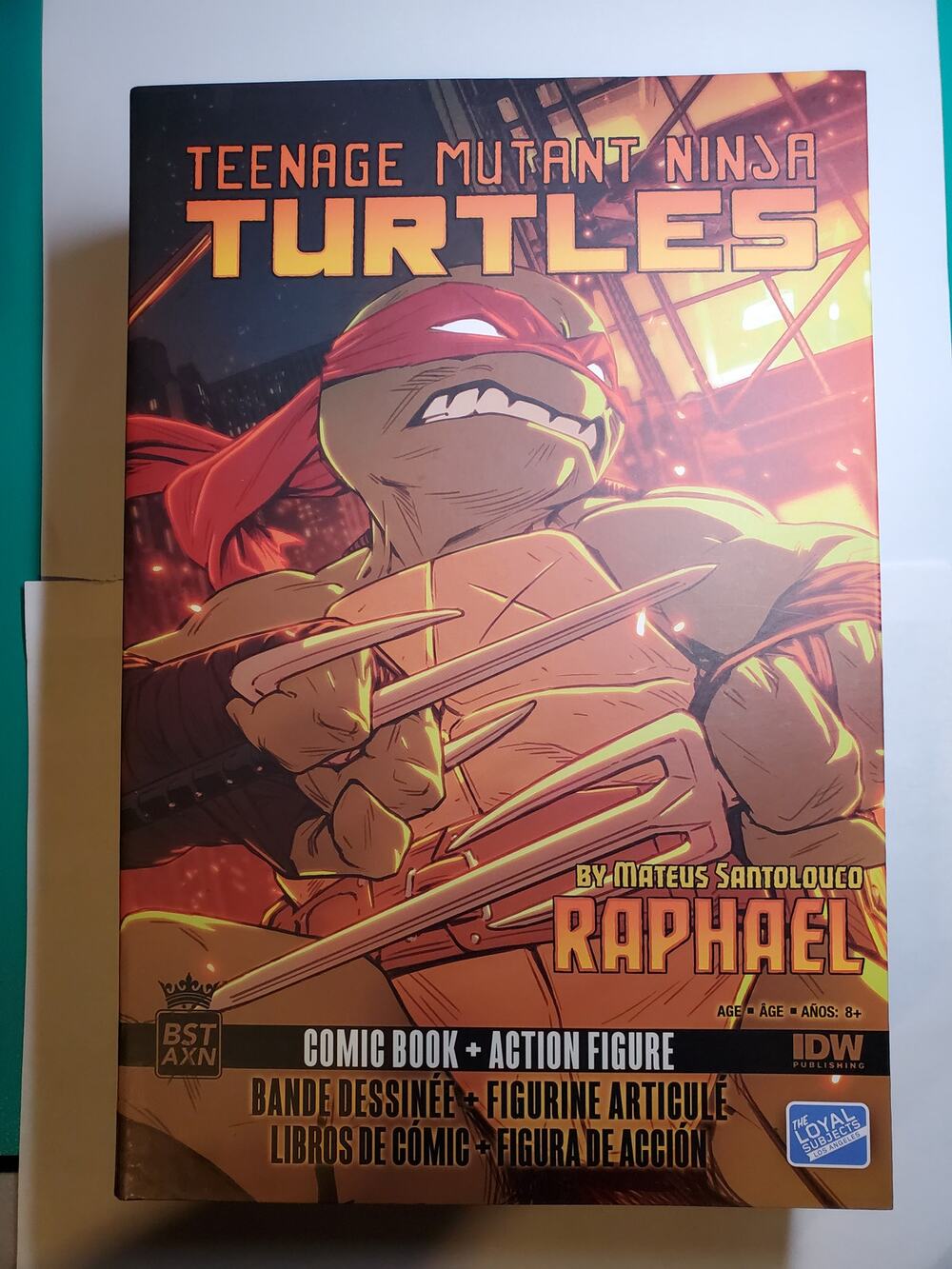 Teenage Mutant Ninja Turtles - Raphael 5in Action Figure - TMNT
